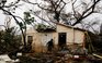 Số người chết do bão Maria có thể gấp trăm lần số liệu công bố