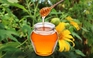 Mẹo vặt: Nhiệt miệng hết ngay chỉ bằng mật ong