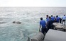 Huy động cả... hải quân cứu voi trôi trên biển