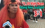 'U.20 Việt Nam thắng New Zealand 3-1'