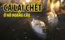 Hà Nội: Tròn 1 năm cá lại chết ở hồ Hoàng Cầu