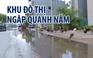 Vịt bơi tung tăng, trâu lội bì bõm trên con đường ngập quanh năm ở Hà Nội