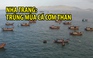 Ngư dân Nha Trang trúng mùa cá cơm than