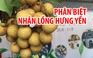 Làm sao phân biệt nhãn lồng Hưng Yên?