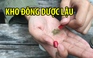 Kho đông dược lậu trong nhà 5 tầng chứa cả thuốc cấm bán tại Việt Nam