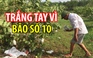 Bão số 10 đi qua, người dân khốn đốn vì trắng tay