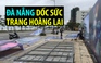 Đà Nẵng dốc sức trang hoàng lại đường phố sau bão