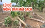 Lũ dữ, nông dân mất sạch nguồn thu