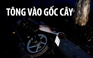 Tông vào gốc cây lúc rạng sáng, đôi nam nữ trẻ tử vong