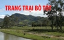 “Đột nhập” trang trại bò tót lai độc nhất ở Việt Nam