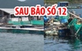 Ngư dân nơi mắt bão số 12 gượng dậy sau bộn bề