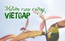 Độc đáo vườn rau rừng VietGAP ăn kèm đặc sản Trảng Bàng