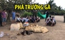 Hàng trăm người theo dõi công an triệt phá trường gà quy mô lớn