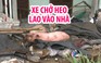 Xe tải chở heo lao vào nhà dân, cụ bà 80 tuổi gặp nạn