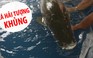 Bắt được cá hải tượng “khủng” nặng gần 30 kg trên sông Vàm Cỏ Đông