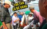 Chuyến biển đầu năm, ngư dân Quảng Trị trúng mẻ cá bè vàng hơn 100 tấn