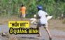 Thực hư chuyện “hôi của hàng trăm con vịt” sau tai nạn lật xe ở Quảng Bình