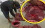 Tròn mắt với “công nghệ” bôi dung dịch biến thịt heo nái thành thịt bò