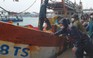 Hàng ngàn tàu cá ở Ninh Thuận hối hả tìm chỗ tránh áp thấp nhiệt đới