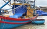 Hàng ngàn tàu cá Quảng Ngãi cấp tập vào bờ neo đậu tránh gió mạnh