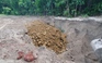 Điều tra vụ khai thác cát rồi dùng đất lấp lại