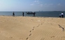 Chưa thể lý giải 'đảo cát nổi ở biển Hội An', Quảng Nam ra lệnh cấm