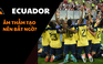 Đường đến World Cup 2022: Ecuador sẽ âm thầm tạo bất ngờ?