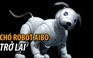 Aibo, chó robot thông minh của Sony trở lại - lợi hại hơn xưa!