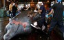 Nhật Bản tiếp tục đánh bắt cá voi làm thực phẩm, bỏ qua phản ứng quốc tế