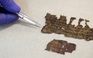 Xét nghiệm DNA Cuộn sách Biển Chết, hé lộ thêm nhiều khám phá