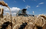 Moscow bác cáo buộc quân đội Nga 'trộm' ngũ cốc từ Ukraine