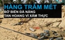 Hàng trăm mét bờ biển tại Đà Nẵng tan hoang vì xâm thực
