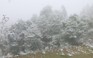 Mưa tuyết dày đặc, Sa Pa bỗng chốc giống châu Âu giữa mùa đông