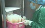 Hơn 2.600 trẻ sơ sinh hưởng lợi từ Ngân hàng sữa mẹ đầu tiên