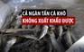 Trung Quốc “siết” nhập, cả ngàn tấn cá khô không xuất khẩu được