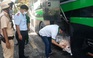Xe giường nằm chở gần nửa tấn heo sữa thối từ Quảng Ngãi vào TP.HCM