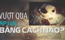 Vượt qua áp lực học hành bằng cách nào