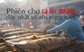 Phiên chợ cá lóc nướng độc nhất vô nhị trong năm