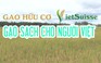 Gạo hữu cơ VietSuisse - Gạo sạch cho người Việt