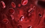 Lý giải di chứng Covid-19 kéo dài: bệnh có thể gây thay đổi lâu dài trong tế bào máu