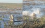 Cá sấu đớp trọn flycam ngùn ngụt khói gây sốt trên TikTok