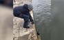 Kinh ngạc những thứ cậu bé 11 tuổi câu được từ đáy sông ở Paris
