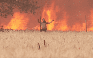 Choáng váng cảnh người đàn ông người bén lửa thoát khỏi đám cháy rừng Tây Ban Nha