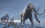 Từ răng voi ma mút Siberia thu được ADN cổ xưa nhất thế giới