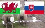 Cừu dự đoán Slovakia thắng Wales 3-0