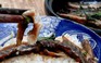 Món ngon dễ làm: Cá kèo kho rau răm đậm đà bữa quê giữa thị thành