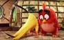 Phim The Angry Birds Movie giới thiệu trailer với phong cách ‘siêu bựa’